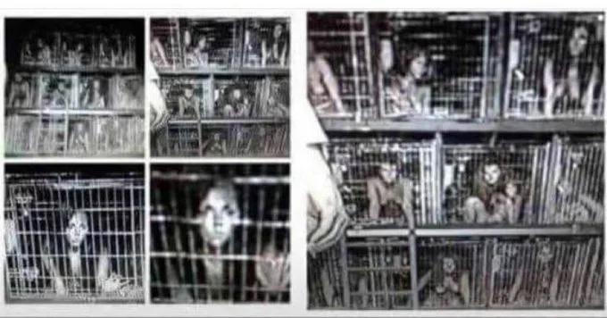 Argument Debunking Story That 2100 Children Were Rescued From Underground Cages in California
