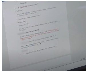 Copy of original contract between Clare Bronfman and Frank Parlato (Keith Raniere's changes in red)....