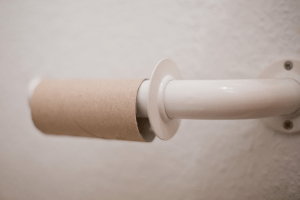 Empty toilet paper roll