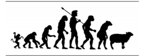 The evolution of the American voter.