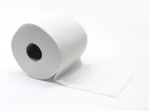 The standard number of sheets in a roll of toilet paper is 1000 for one-ply and 500 for two-ply. Some brands have fewer sheets and are of a smaller size sheet (and those sheets used in the Vatican are holy sheets.) Of course, toilet paper in prison is like everything else there: the cost is more expensive and the product is lower quality