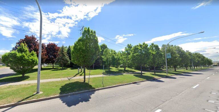 Public Park or Political Ploy? How Restaino’s Last-Ditch Strategy Could Derail AI Center in Struggling Niagara Falls