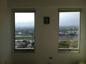 View from windows.
