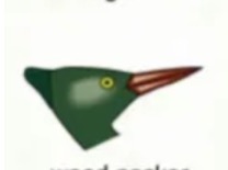 beak