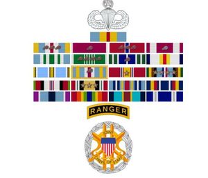 Medal earned by General Michael Flynn