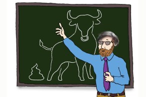 A teacher shows his class the similarities of how the end product of the digestion of knowledge at the University of Higher Education approximates the end product of the digestion of a bull.