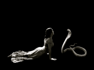 No, Keith Raniere did not invent yoga although he does look remarkably similar to the inspiration of the cobra pose shown above .