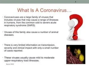 What is a coronavirus?