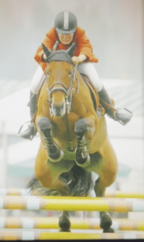 TNT Clare Horseback