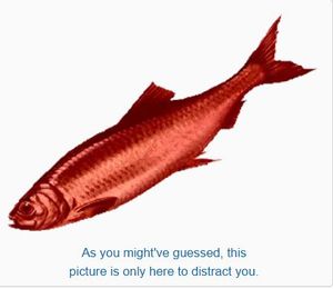 It might be all a red herring meant to distract from the obvious that Raniere is a pedophile.