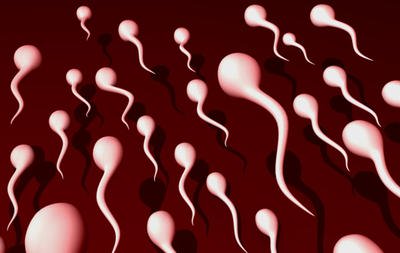 Sources: Raniere loosening sex rules for DOS and SOP members – to keep them from leaving?