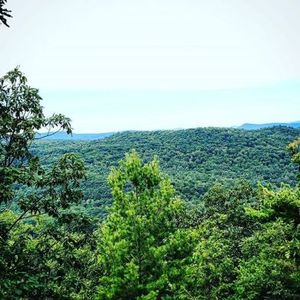 Clare writes: Another mountain run! 11.2 miles, 2034 elevation gain, that's 244 flights of stairs.