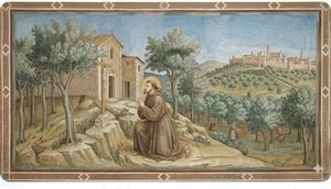 st francis olive oil