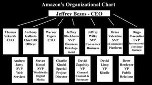 Is Amazon a “pyramid” organization? When we want to show respect to an organization, we call it a company.