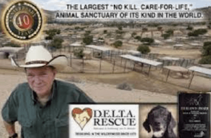 delta