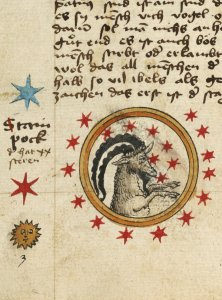 Capricorn
