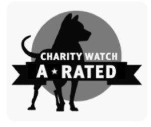 Charity Watch
