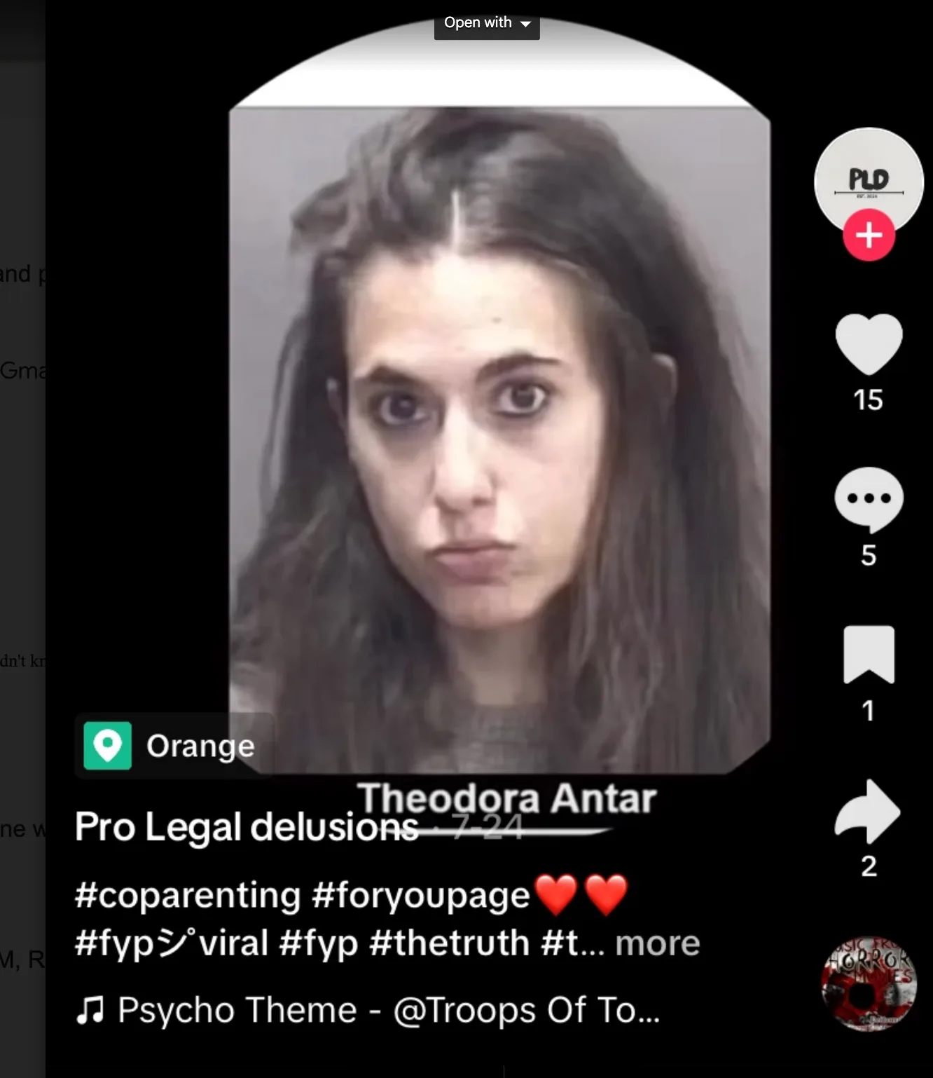 Theodora Antar Blames ‘White Privilege’ for Legal Losses in CT Family Court!