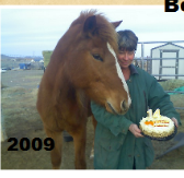 Rick Bell defends wife Laura; condemns Michelle Knutilla for sabotaging their horse rescue efforts