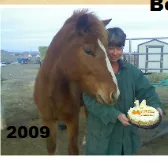Rick Bell defends wife Laura; condemns Michelle Knutilla for sabotaging their horse rescue efforts