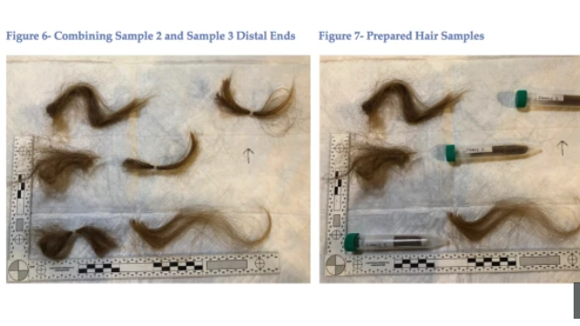 The SUN Reports Parlato’s Letter to Allison Mack Urging Her to Get Hair Tested for Poisoning – Features Comments By Dones and O’Hara
