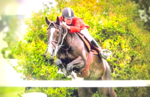 Clare Bronfman was an elite equestrian show jumper.
