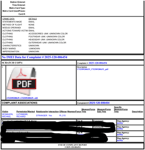 Luthmann NYPD Report 3