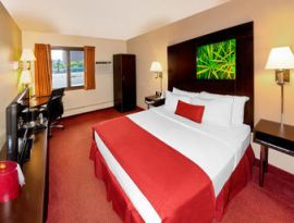 A room at the Golden Valley Super 8