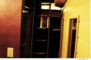 8 hale ladder