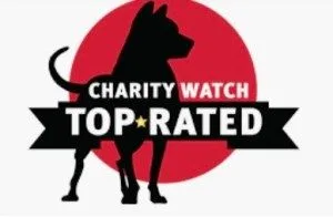 charity watch