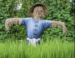 A straw man is a form of argument and an informal fallacy of having the impression of refuting an argument, whereas the real subject of the argument was not addressed or refuted, but instead replaced with a false one.