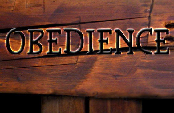 Part 10: Branded Slaves and Master Raniere: Collateral must be sufficient to destroy