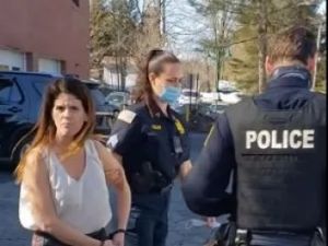 Elizabeth Harding Weinstein arrested in Westchester NY
