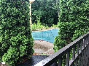 The backyard at 21 Oregon Trail