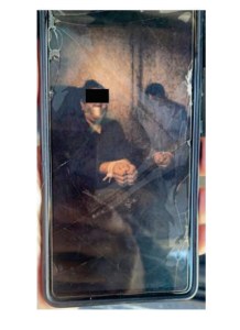 fake photograph grillo