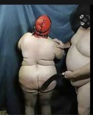 To gross you out, as much as this story grosses me out, this is what they probably looked like.