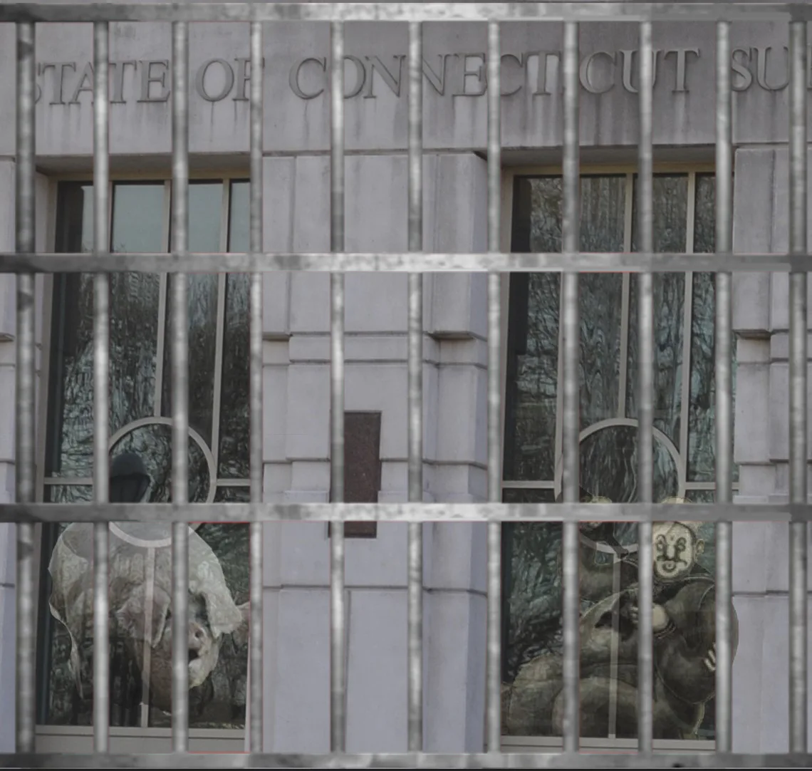 Jailing of CT Mom Sparks Debate on Family Court’s Use of Debtors’ Prisons