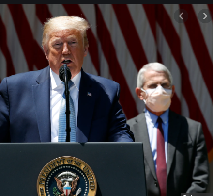Masks Do Not Protect Much; Gloves Are Better