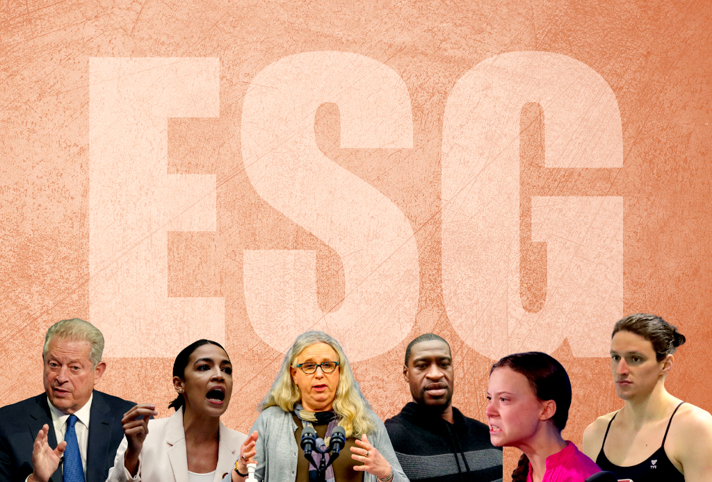 The Fight Against ESG