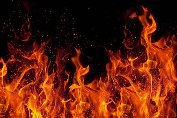 FBI Special Agent Elliot McGinnis Under Fire: Immolation Almost Certain