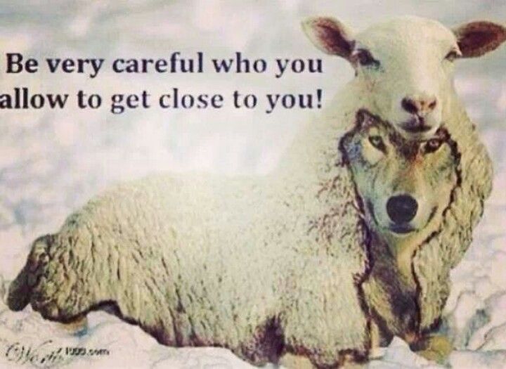 Reader: Raniere ‘effectively a wolf… underhanded, nefarious, devious’… ‘via hypnosis’!