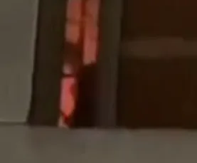 Not for the Squeamish: Forgotten Ones Dance as Prisoner Is Suspected of ‘Jerking to the Twerking’