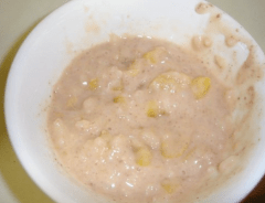 oatmeal vomit