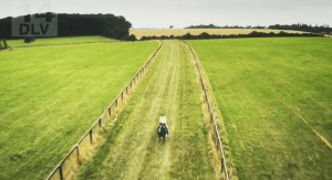TNT Bronfman childhood England horse
