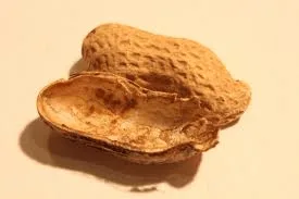 Becky Uma Halpern left OneTaste and became a shell of what she once was. Dry roasted and unfit for consumption.