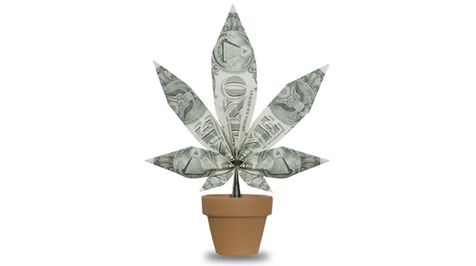 How Governor Cuomo made Medical Marijuana Insanely Expensive