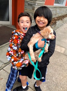 ambrose cody matthew sawyer dog
