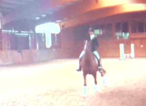 Claare Bronfman was an equestrian.