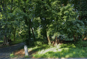 ambrose home 381 horsepond rd. madison ct