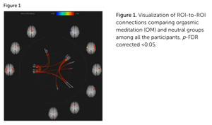 OM fMRI